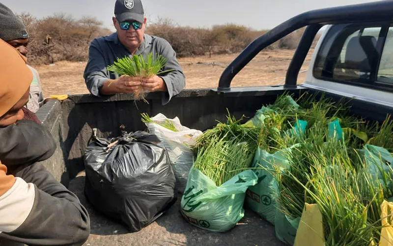 Divi Charity Poverty Alleviation