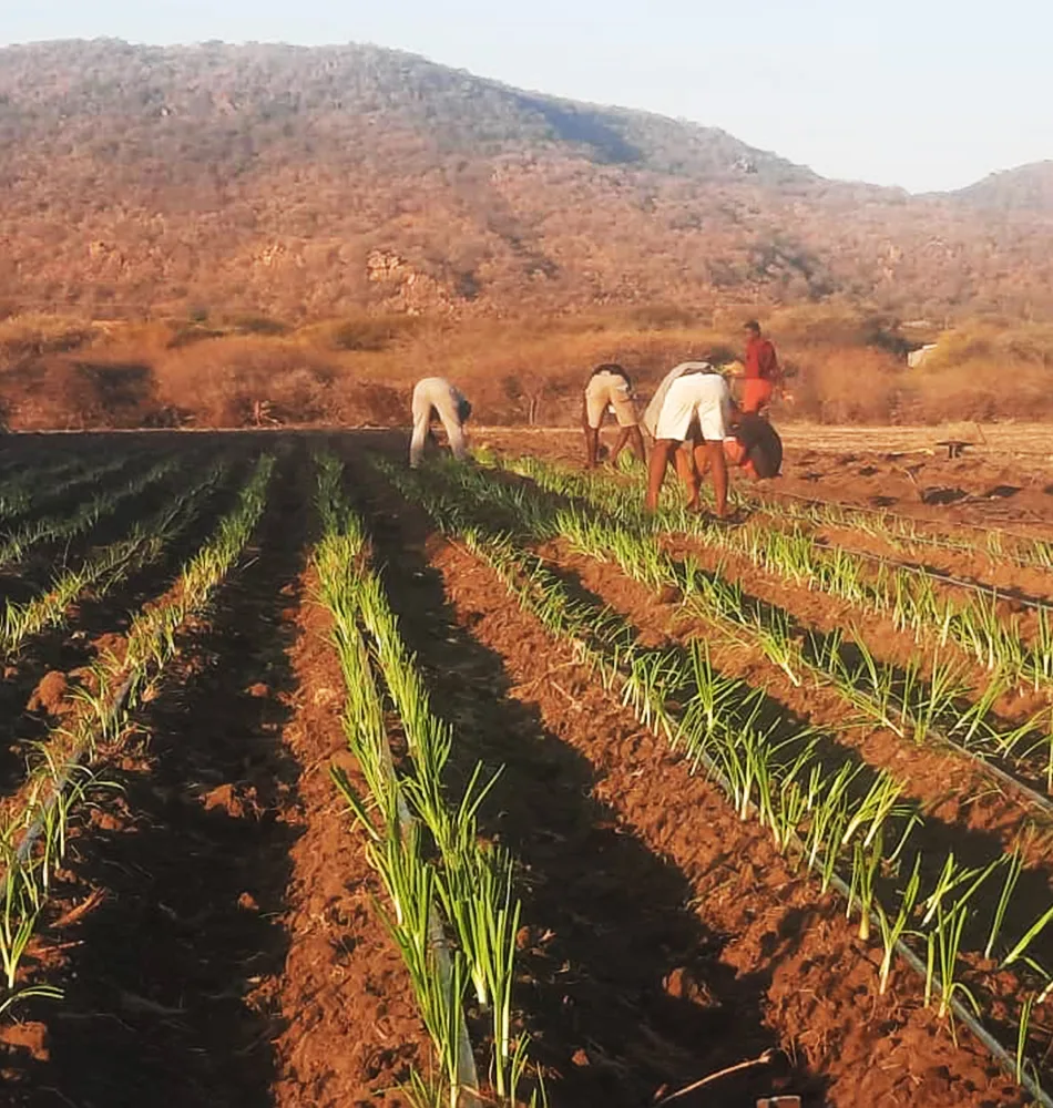 Divi Charity Donation